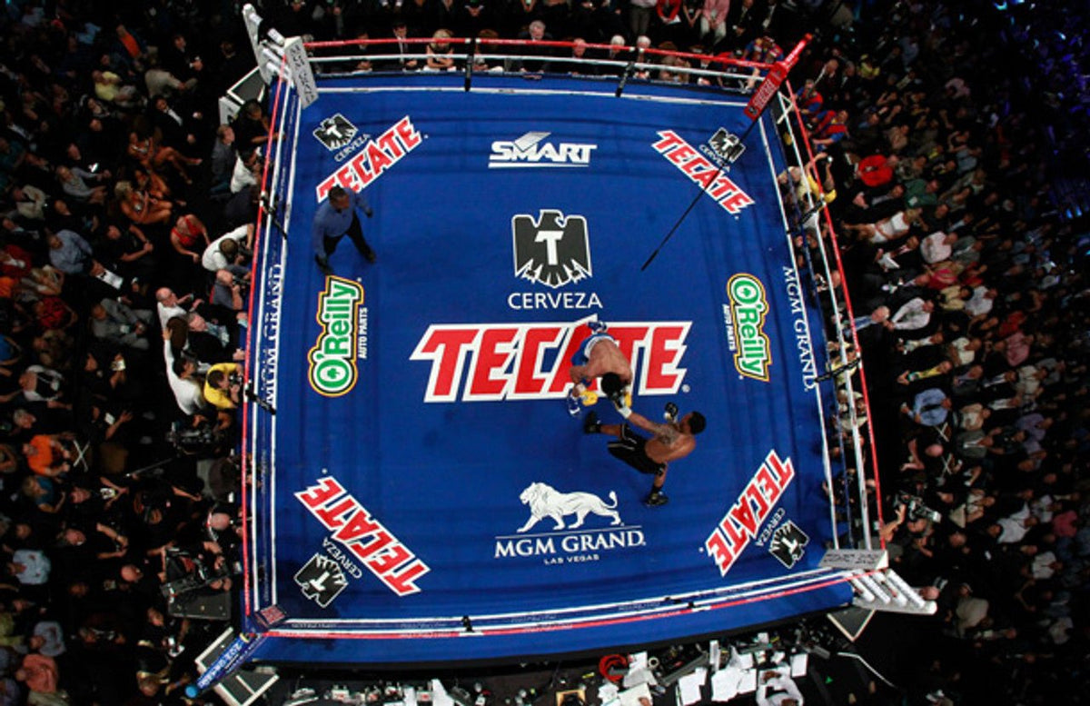 Pro Fight Boxing Ring Rental ( FINAL PRICE ON CALL )
