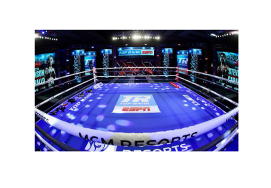 Pro Fight Music Video Boxing Ring Rental