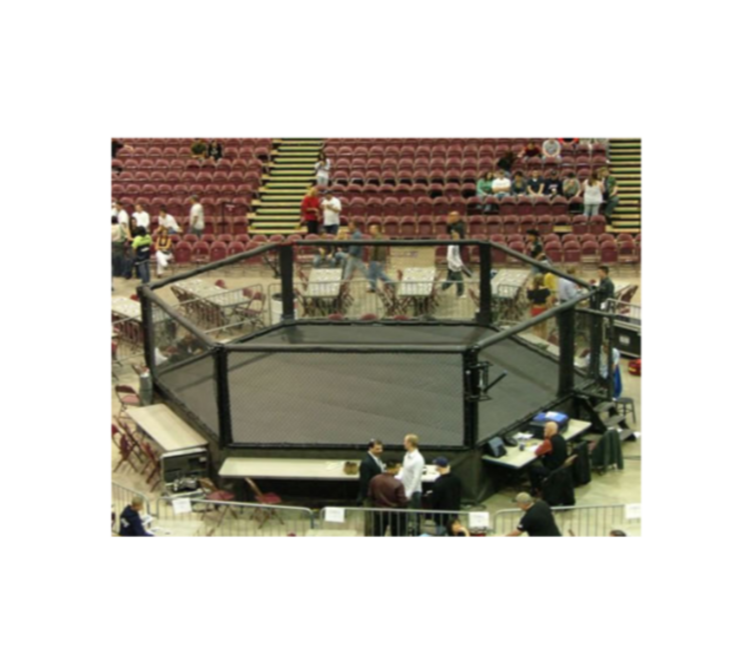 Pro MMA Professional Hexagon Cage