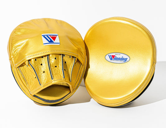 WINNING JAPAN BOXING OVAL CURVED PUNCH MITTS ROACH MITTS GOLD