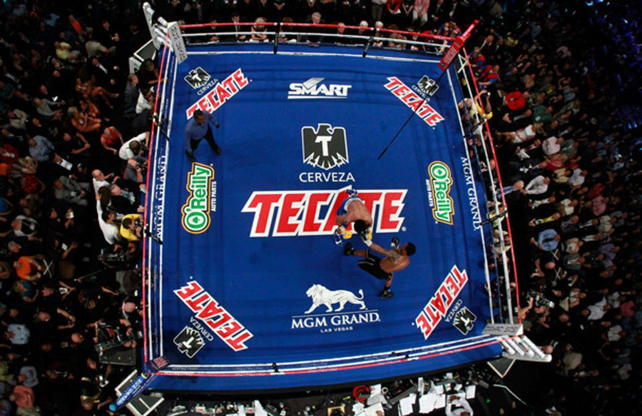 Pro Fight Boxing Ring Rental ( FINAL PRICE ON CALL )