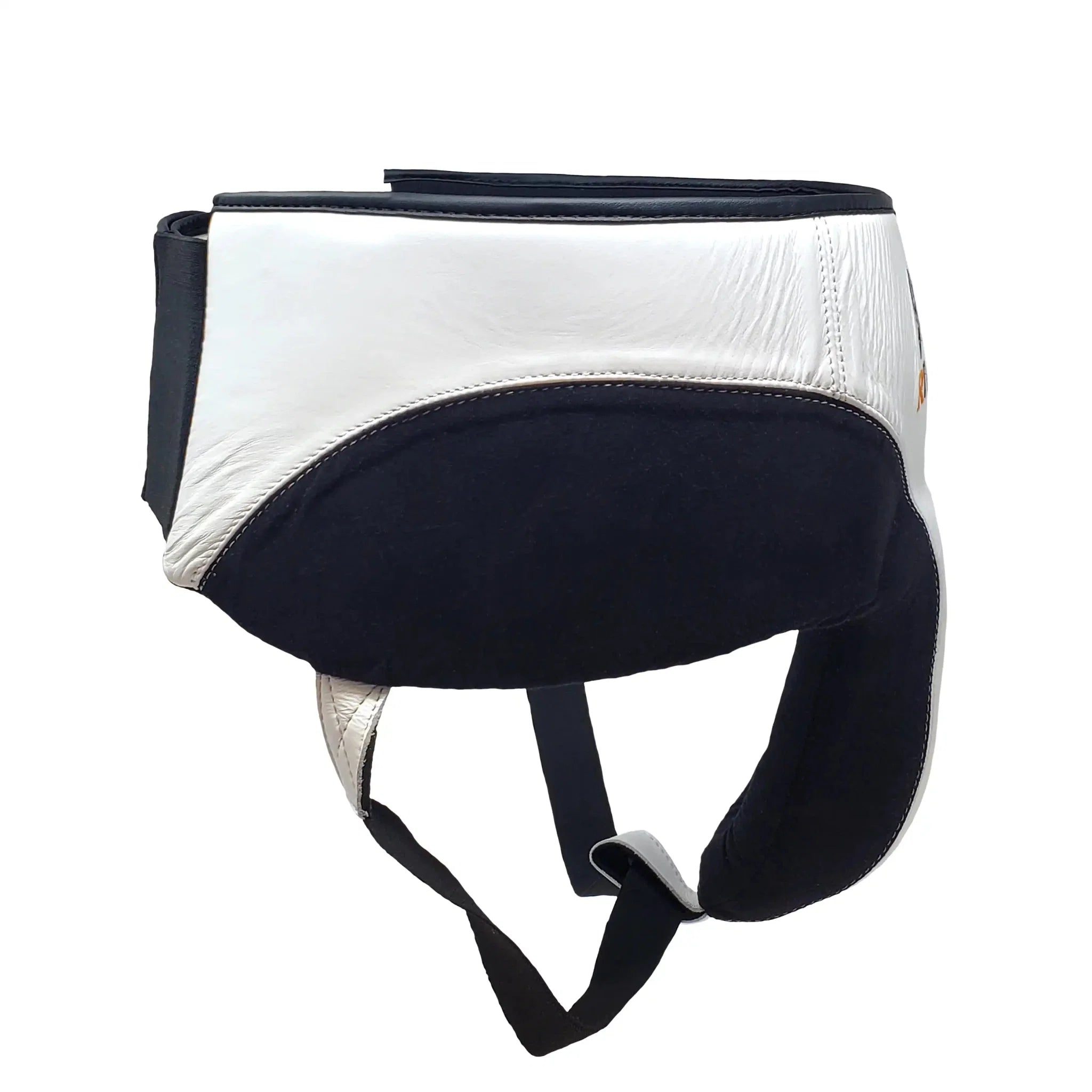 RNFL10 Pro 360 Protector